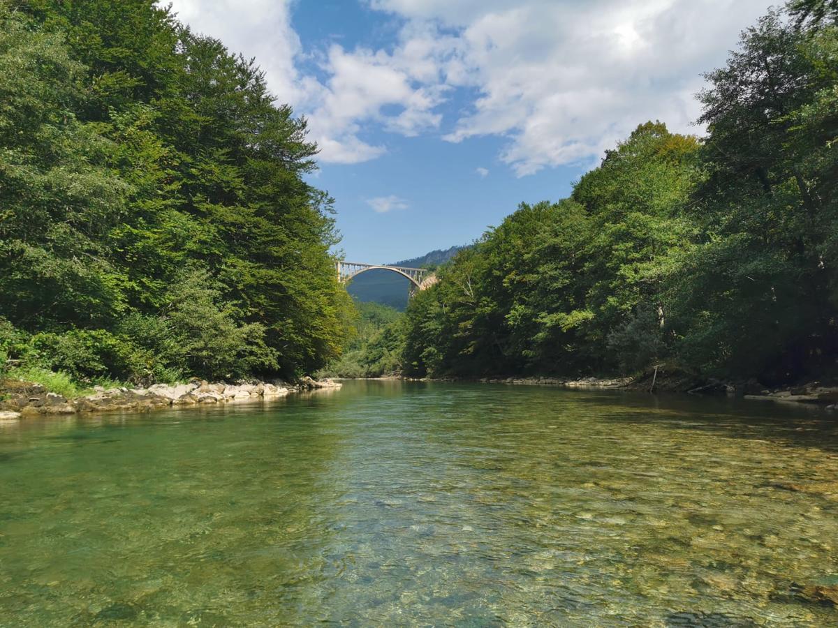 Private Accommodation Kalezic Mojkovac Exteriér fotografie